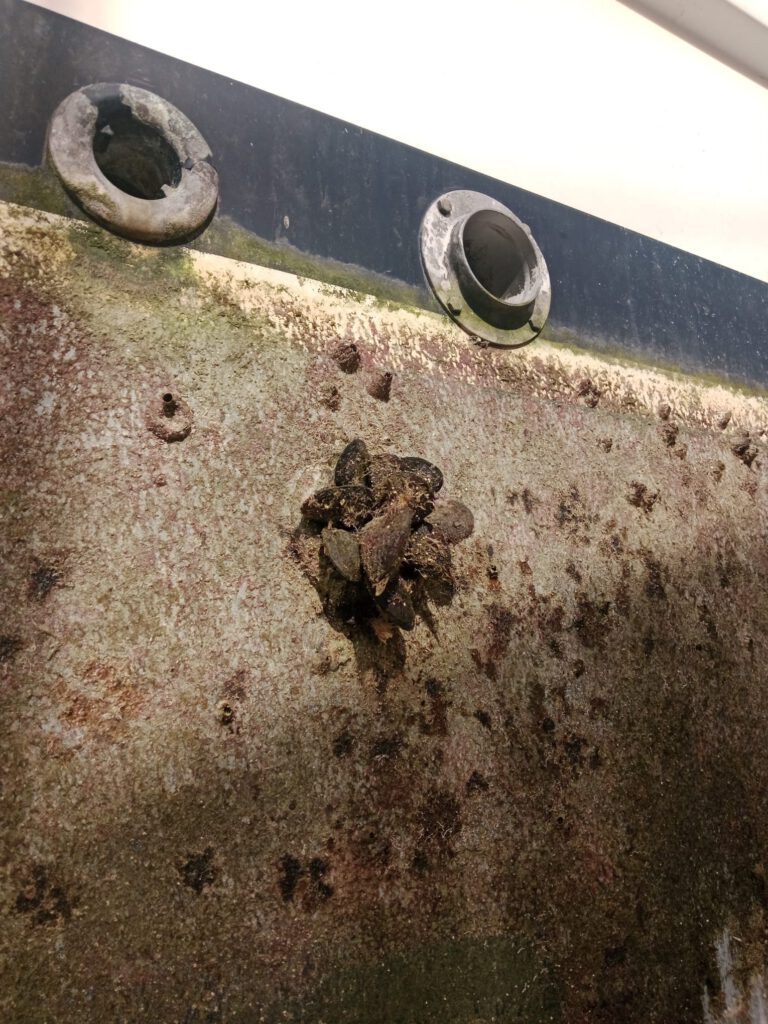 Barnacles before refurbishment